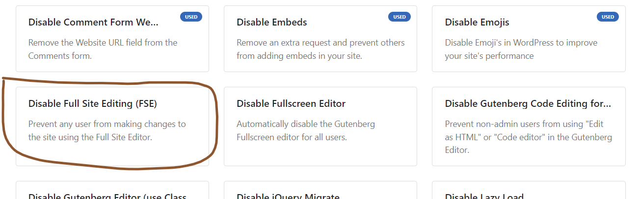 disable full site editing