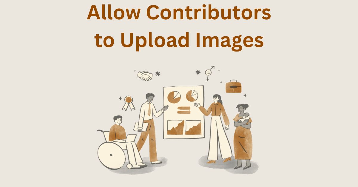 How to Allow Users with the Contributor Role to Upload Files in the Admin?