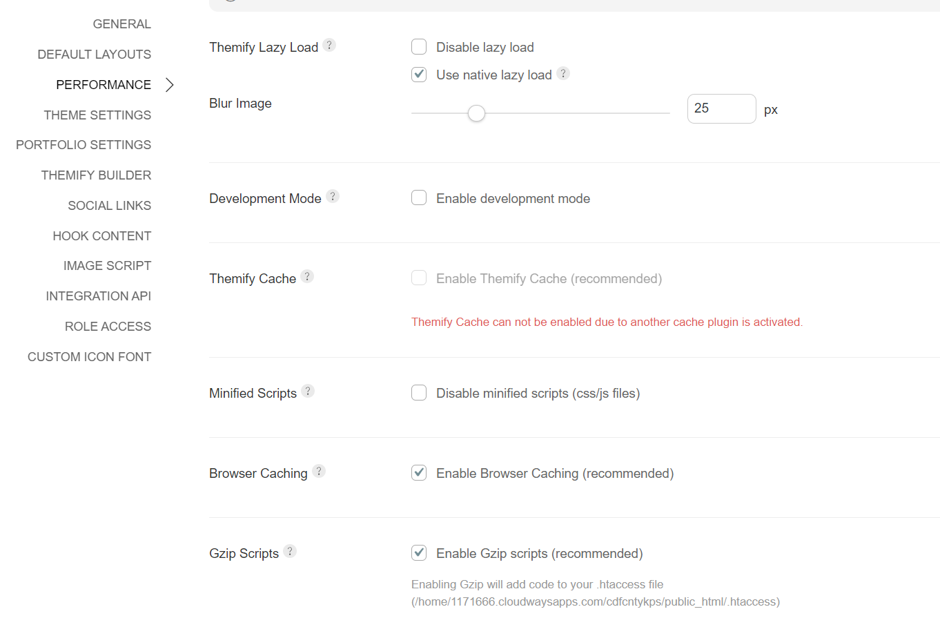 performance themify builder settings