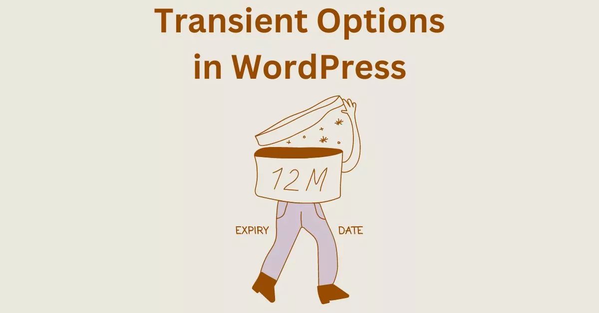 remove transient options in wordpress