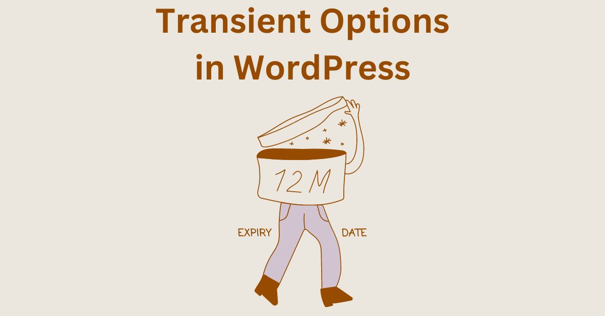 Transient Options and Expired Transient Options – Meaning, Definition, How to Optimize, Remove and Delete