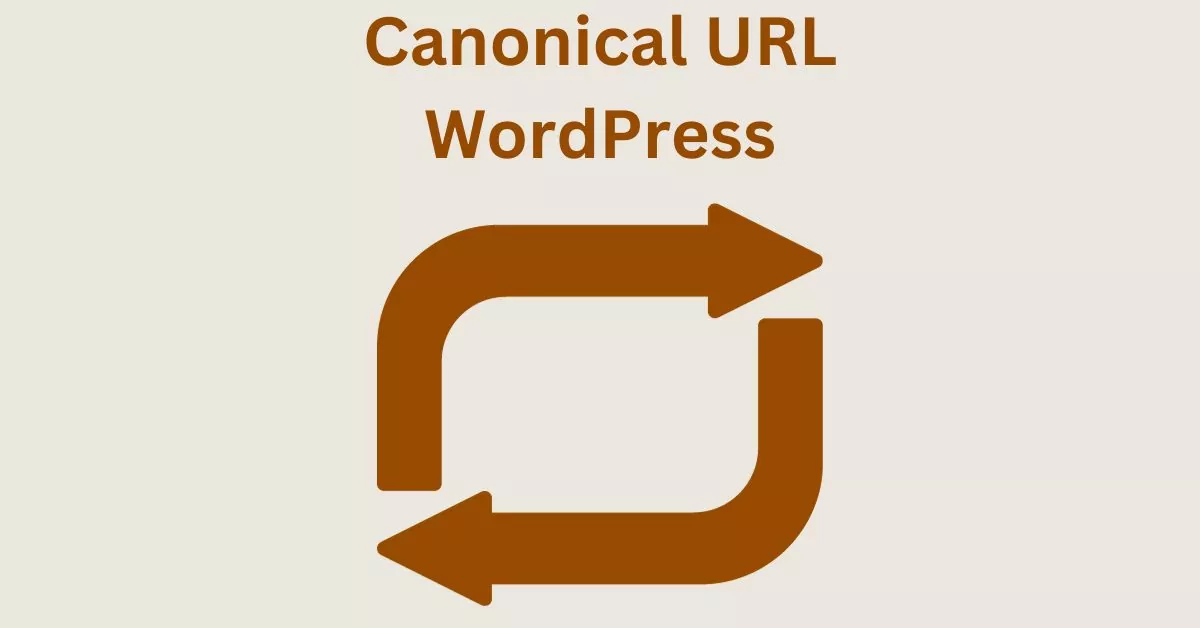 What is a Canonical URL in WordPress – Clear All Your Doubts